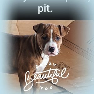 Meet your Posher, Eddie